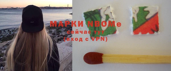 гашик Алексин