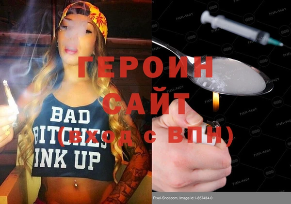 гашик Алексин