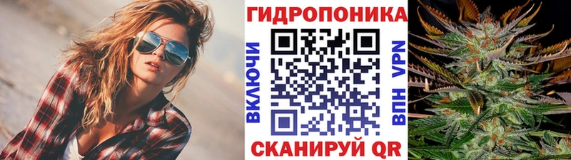 Марихуана Bruce Banner Ачхой-Мартан